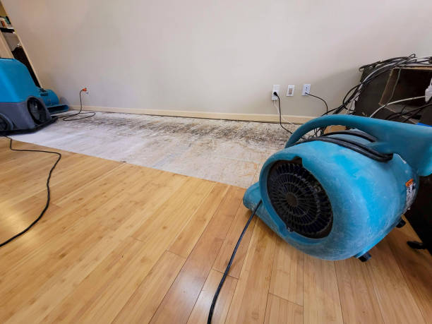Professional Structural Drying technician working in Goldston, NC